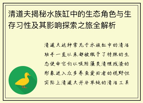 清道夫揭秘水族缸中的生态角色与生存习性及其影响探索之旅全解析